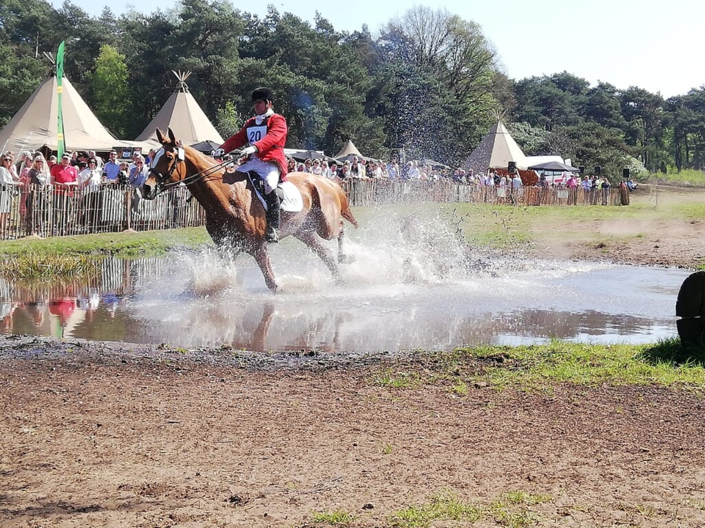 Publieke events - Hippisch event - Boenders Catering