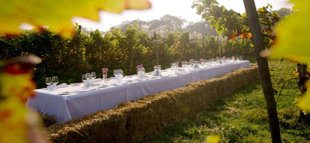 Boenders Catering - Twents Wijngaard Diner - Publieke events