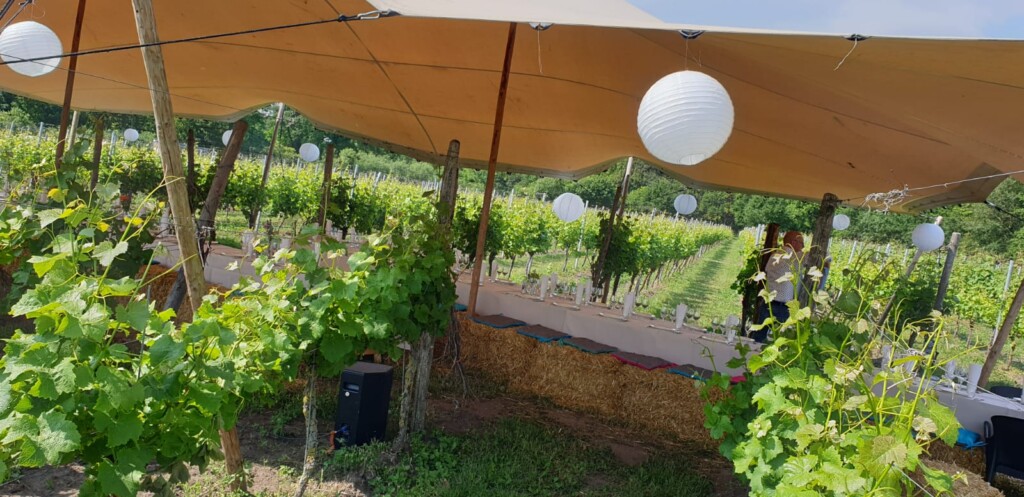 Wijngaard Hof van Twente - Boenders Catering - Locaties - wijngaarddiner